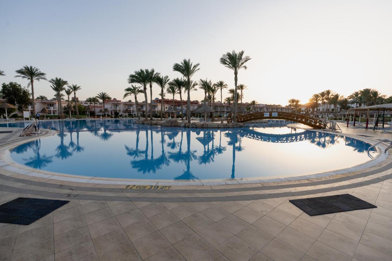 Parrotel beach resort шарм эль шейх